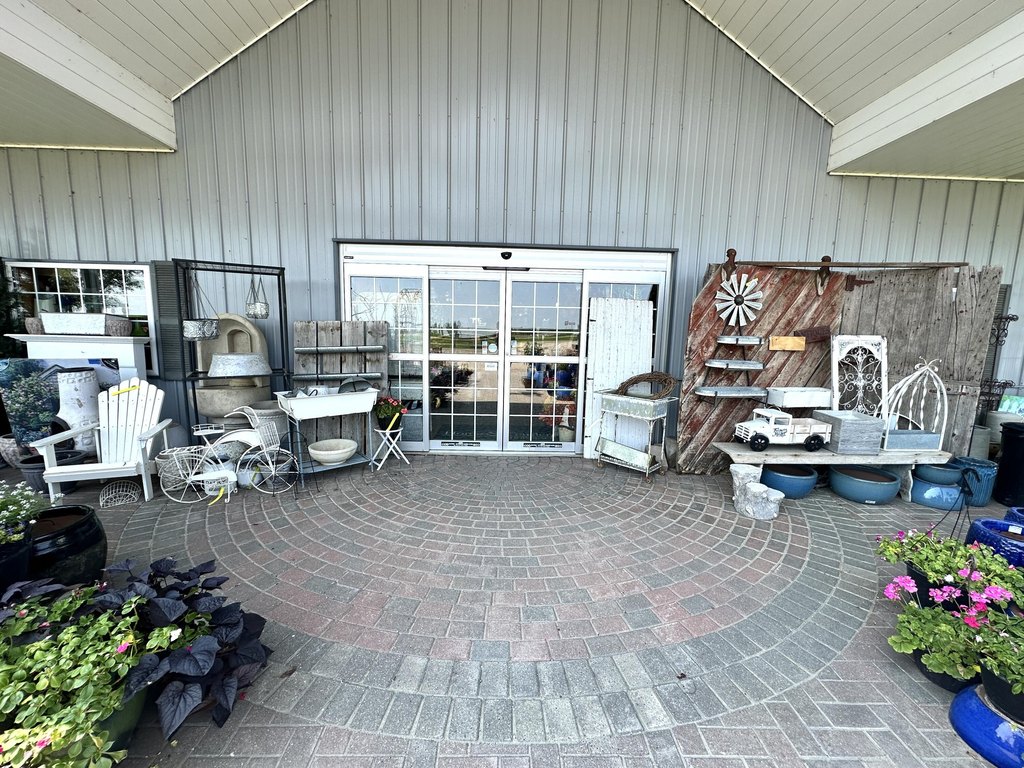 Picture 7