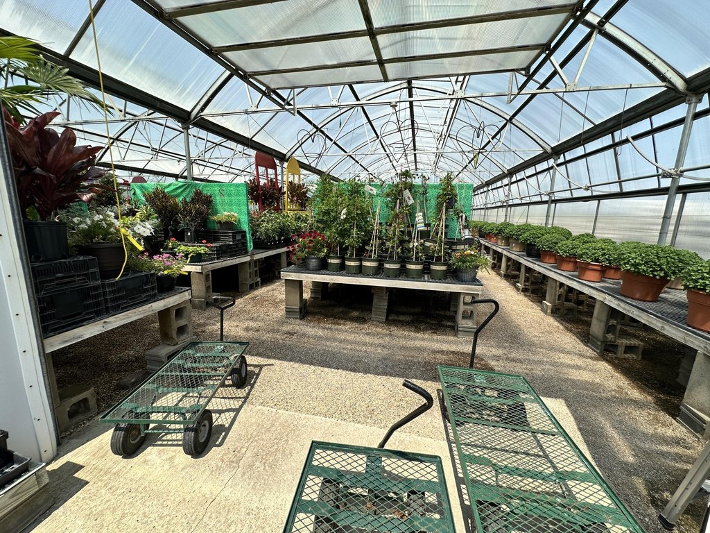 Picture 16