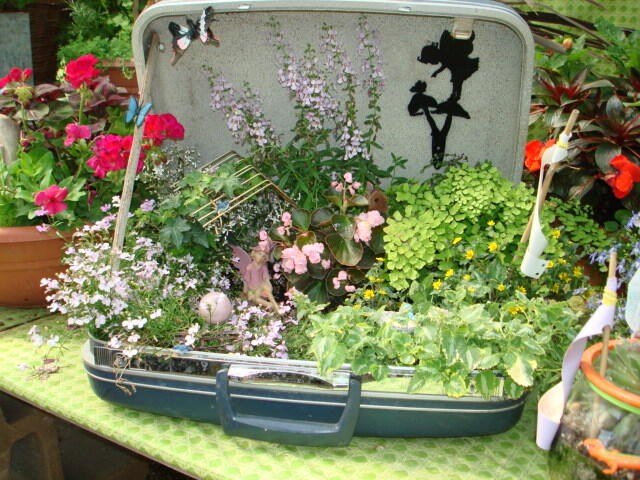 Picture 20