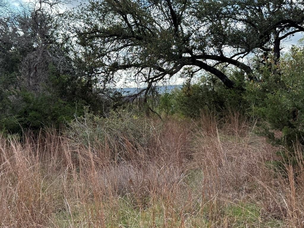Land in Gated Blanco Community