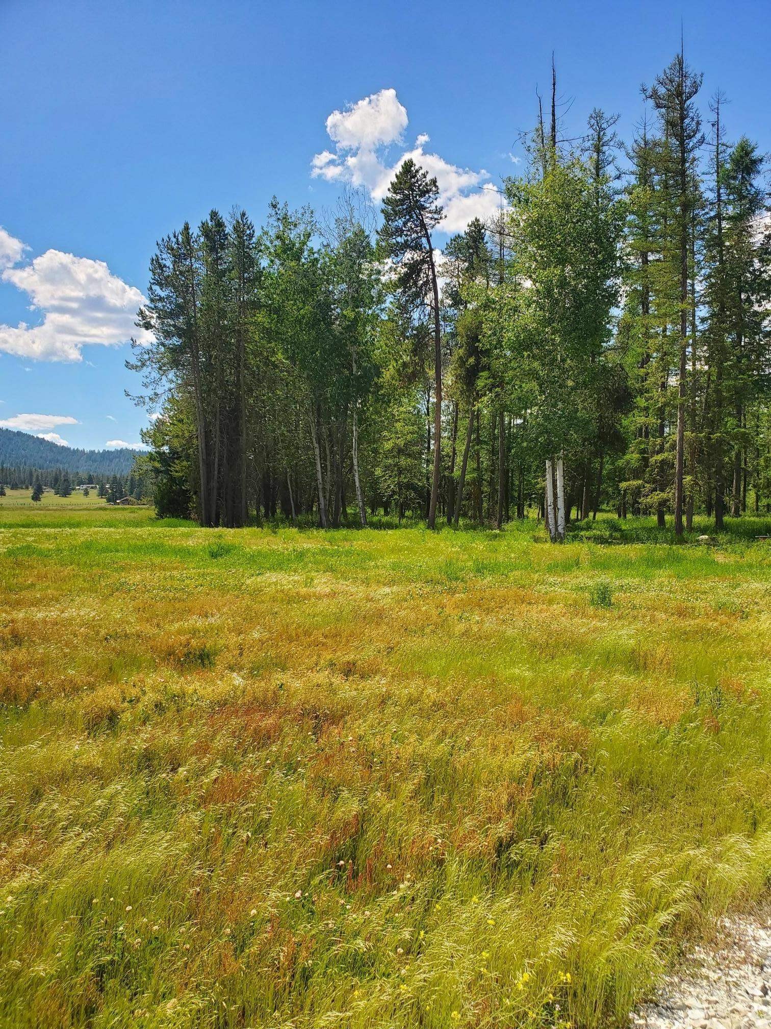 30 Acres Land For Sale
