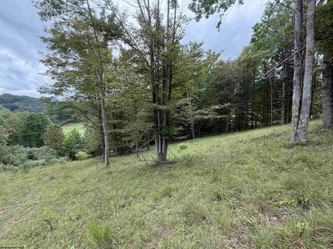 Lots/Land, Buckhannon, WV