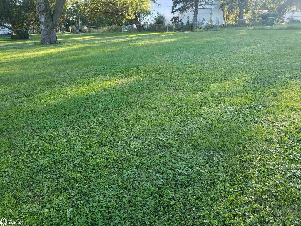Picture 11