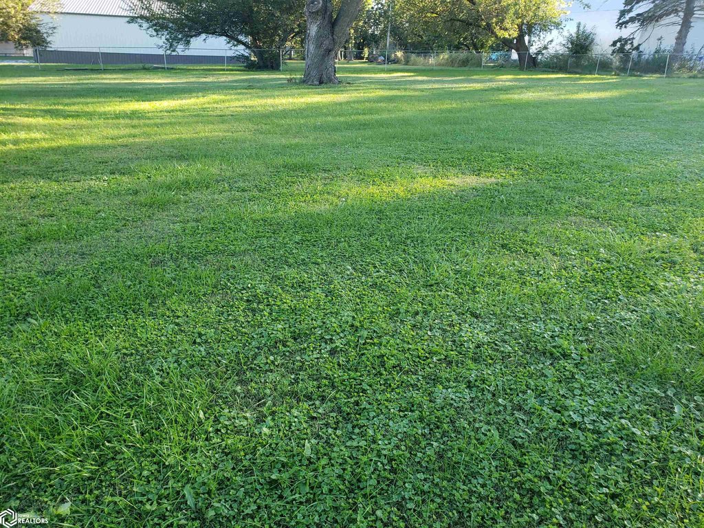 Picture 12