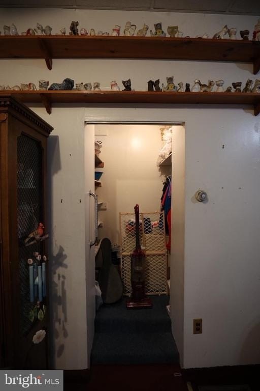 Picture 16