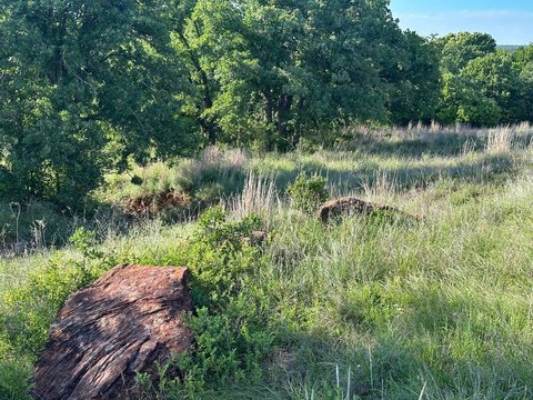 Rural Hunting and Recreation Acreage