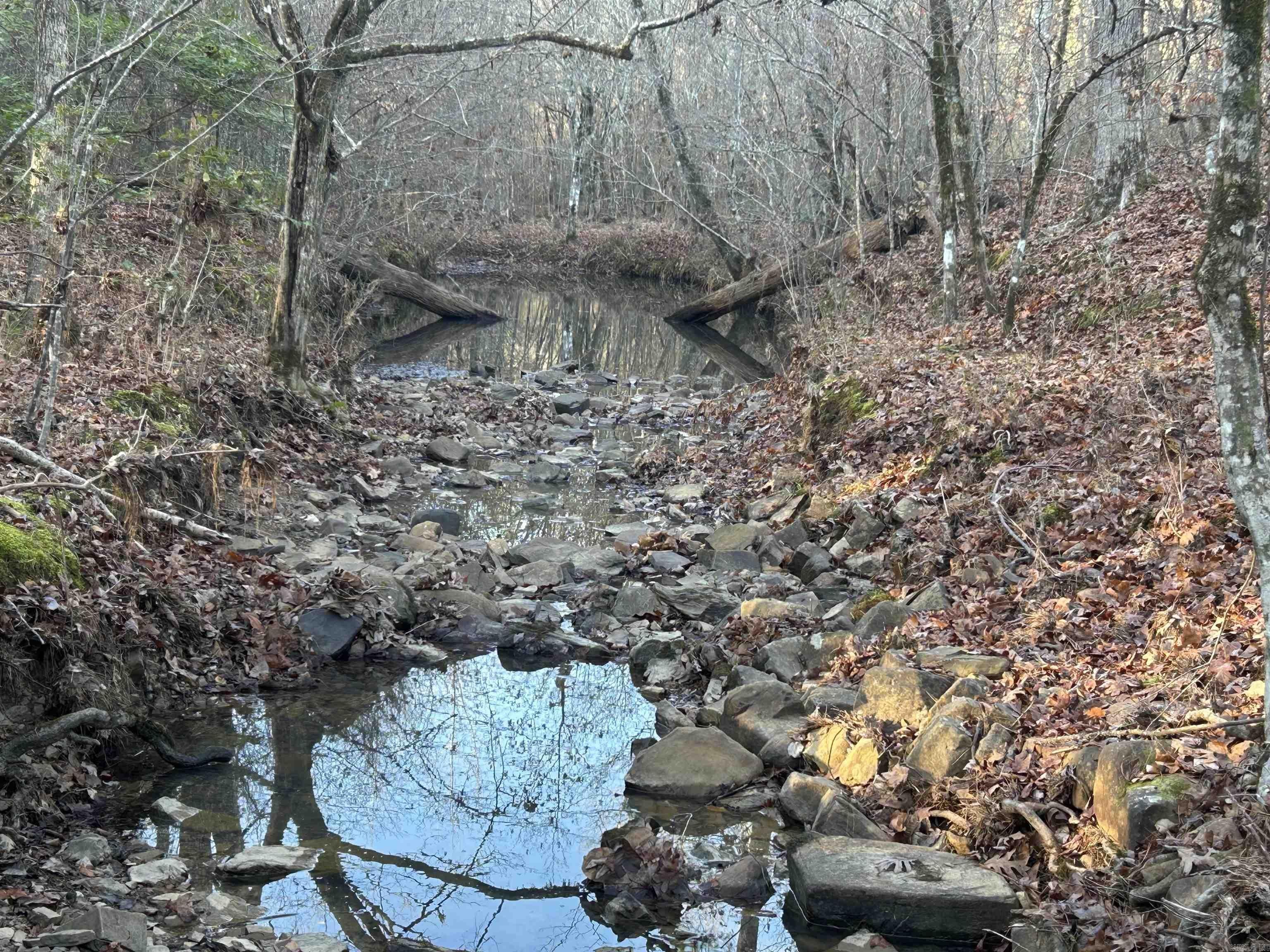 Arkansas Recreational Land For Sale