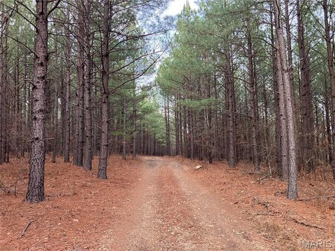 Land - Fredericktown, MO