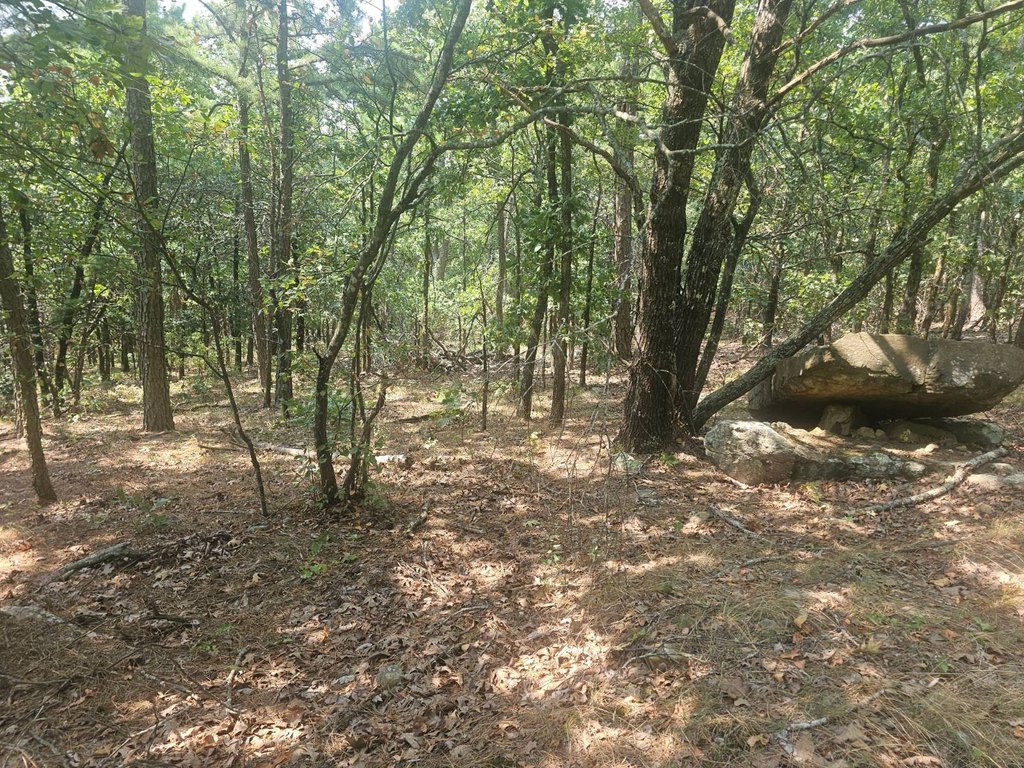 Picture 5