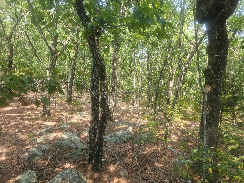 Picture 18