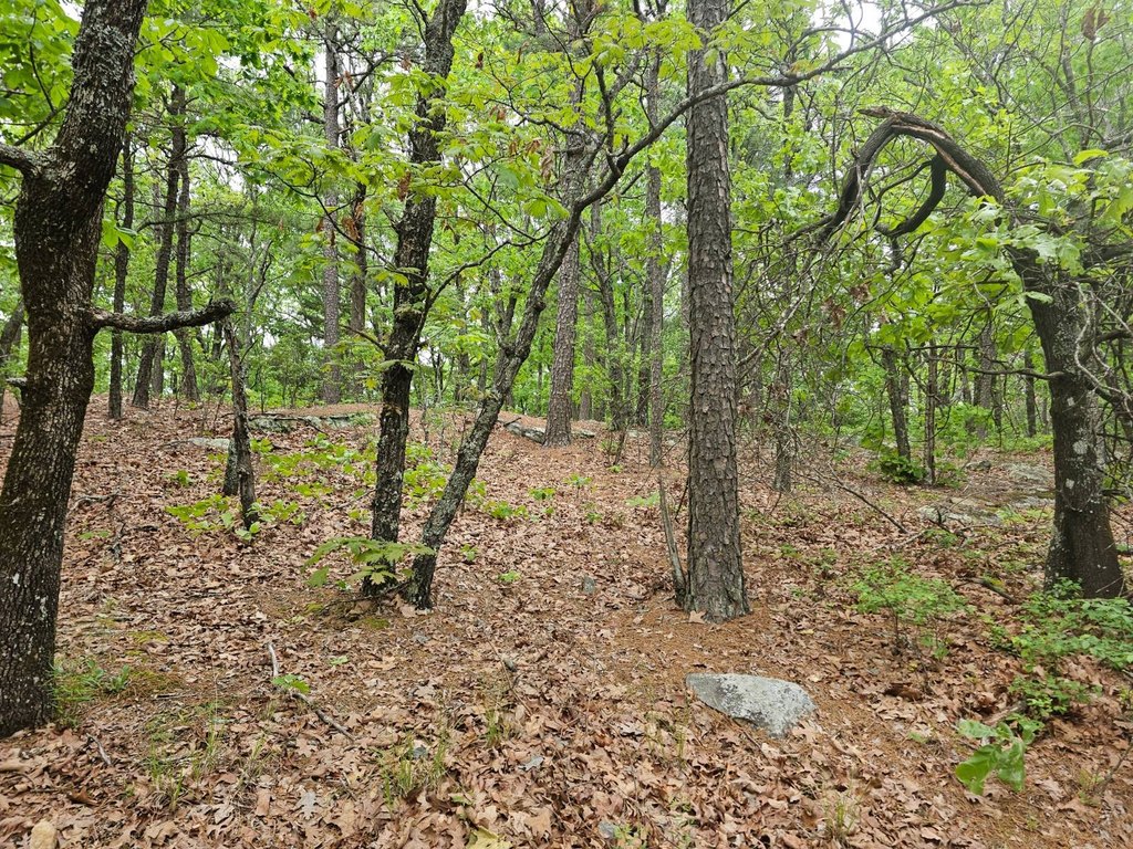 Picture 3