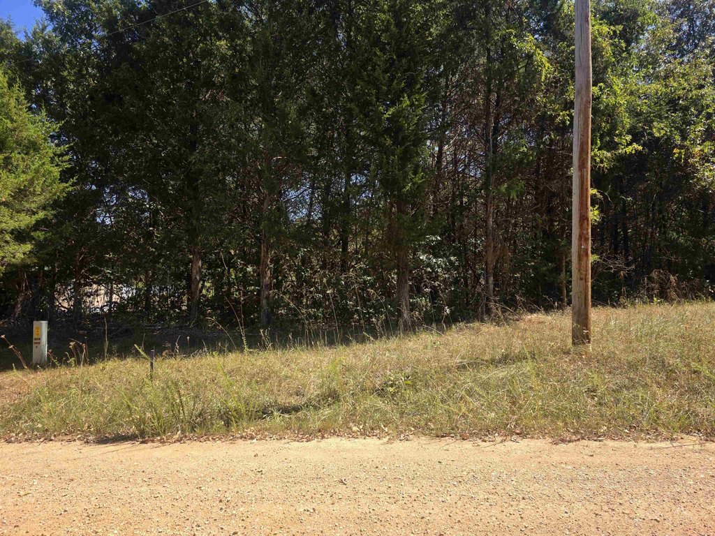 Picture 31