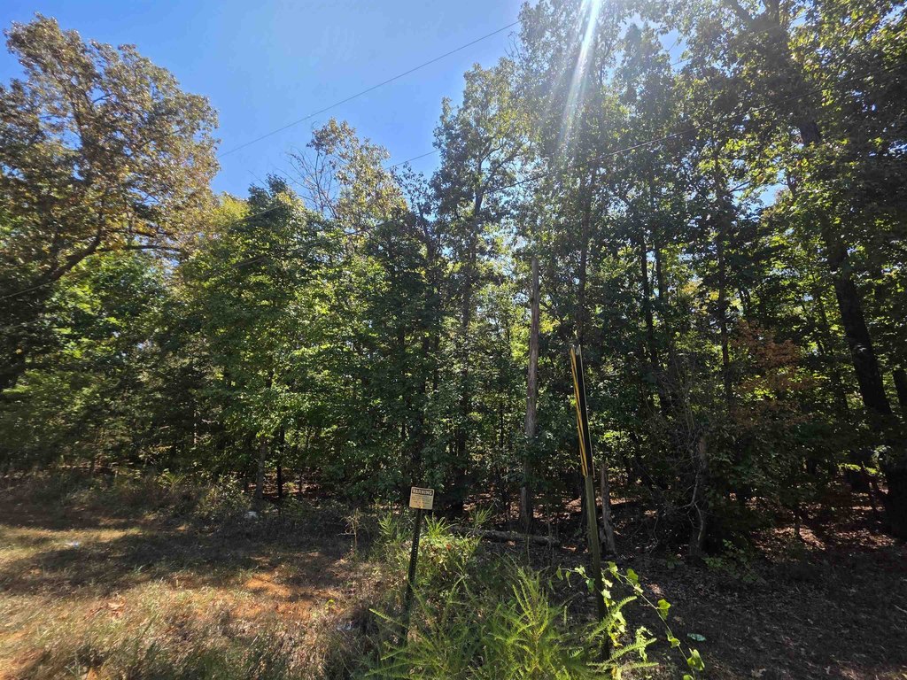 Picture 28