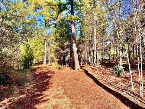 Wooded Waterfront Recreation Lot