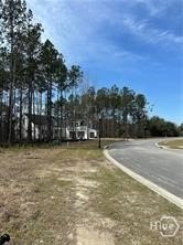 Picture 4