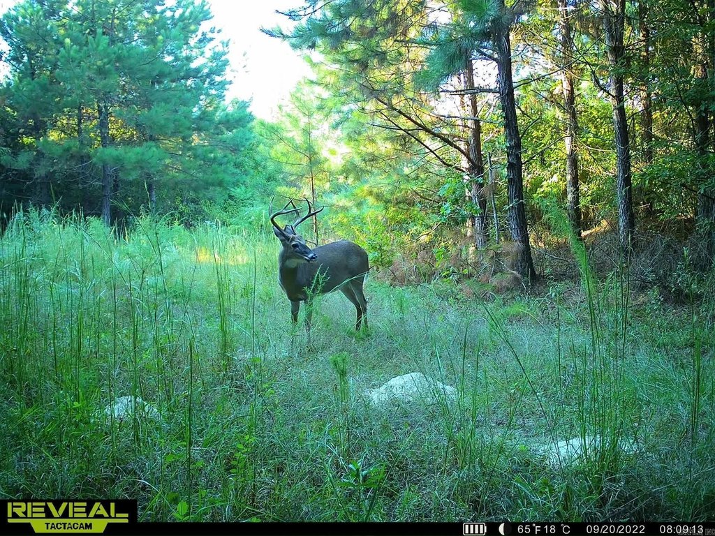 Picture 14