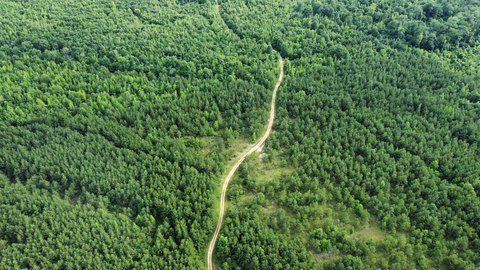322 Acres Hunting Land in Wilmar