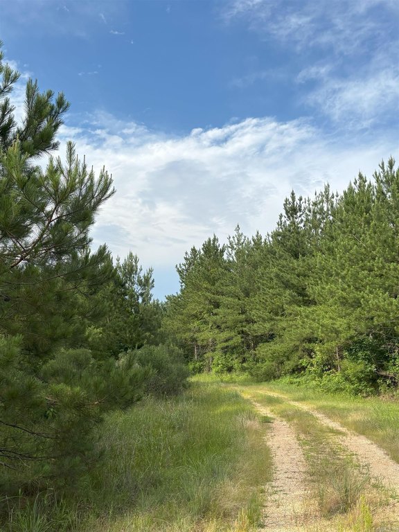 Picture 4