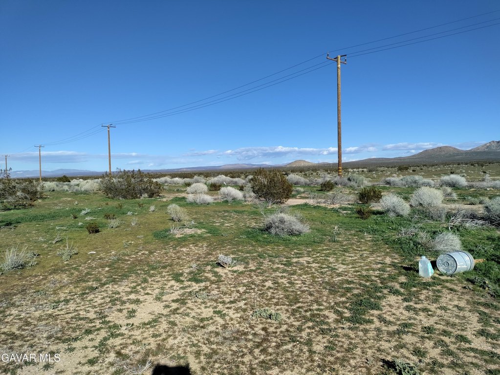 Picture 12