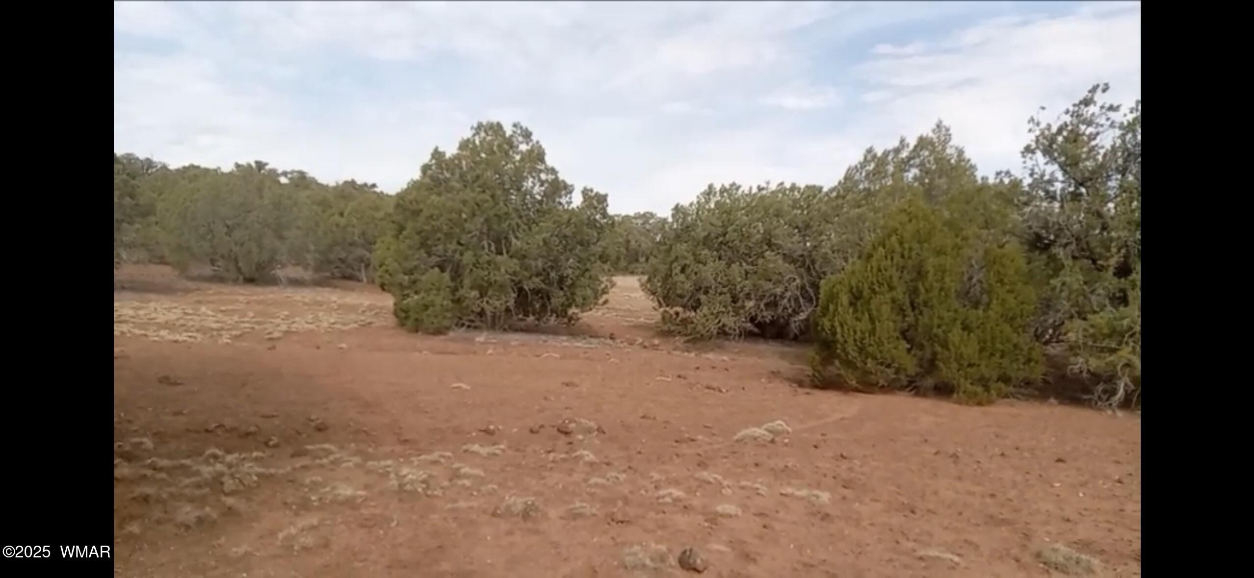 10+ Acres in Show Low