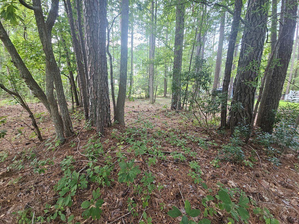 Picture 3