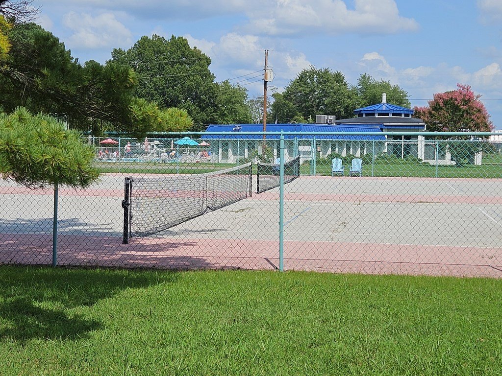 Picture 13