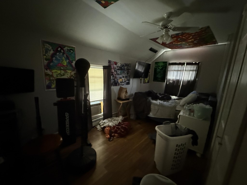 Picture 17