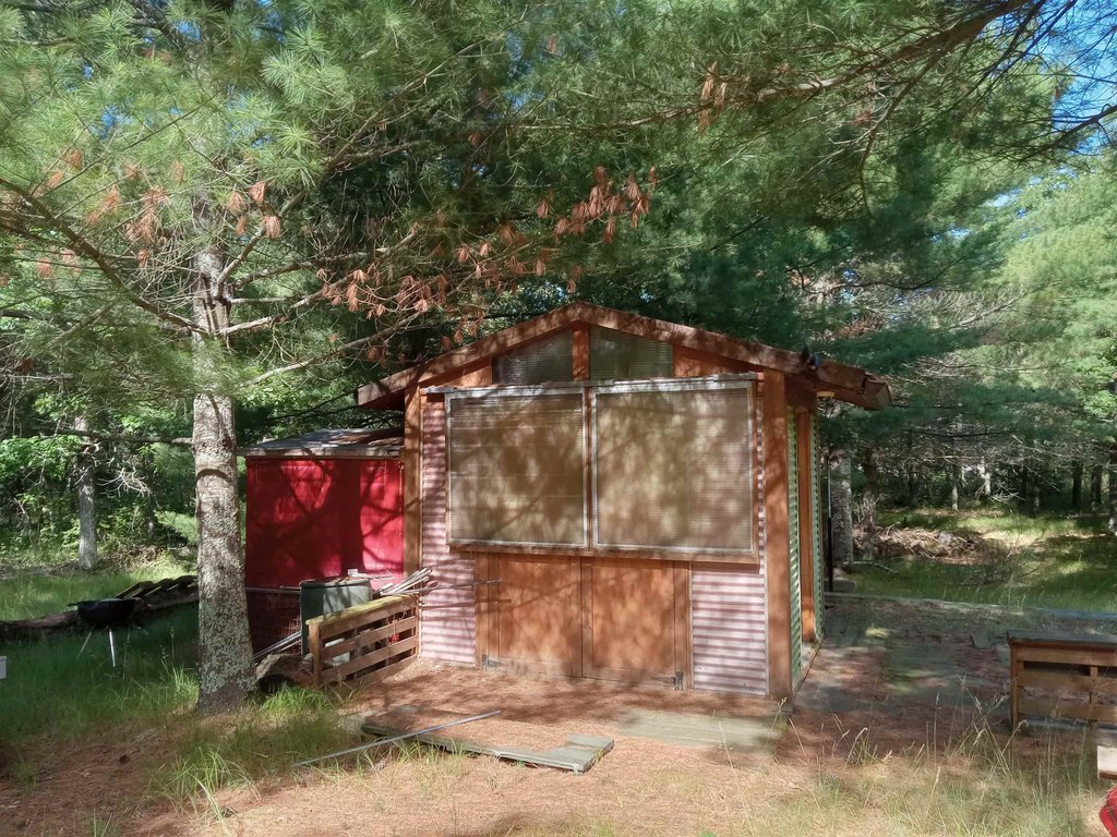 Picture 12