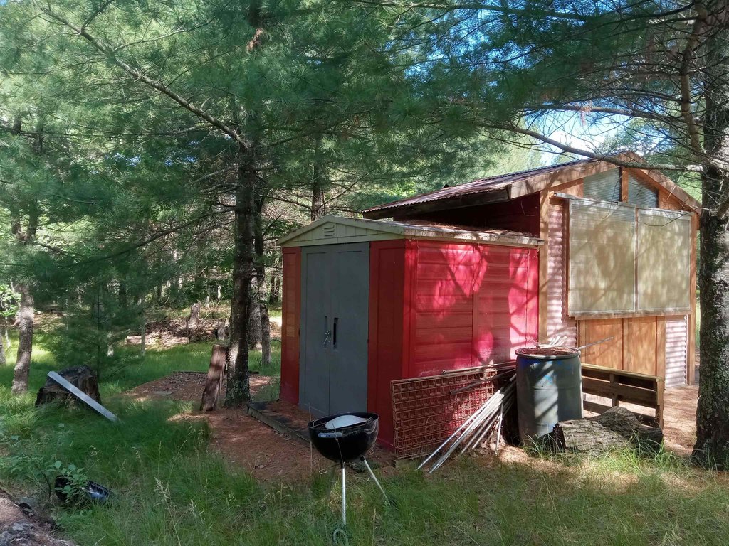 Picture 13