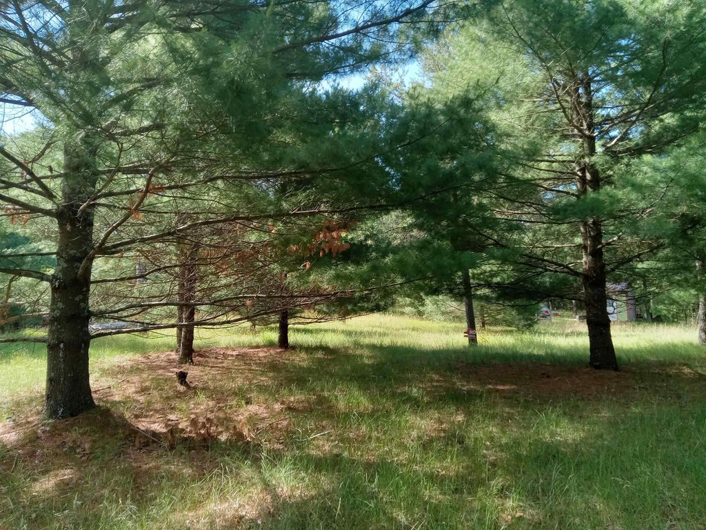 Picture 6