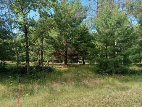 LAND - Nekoosa, WI