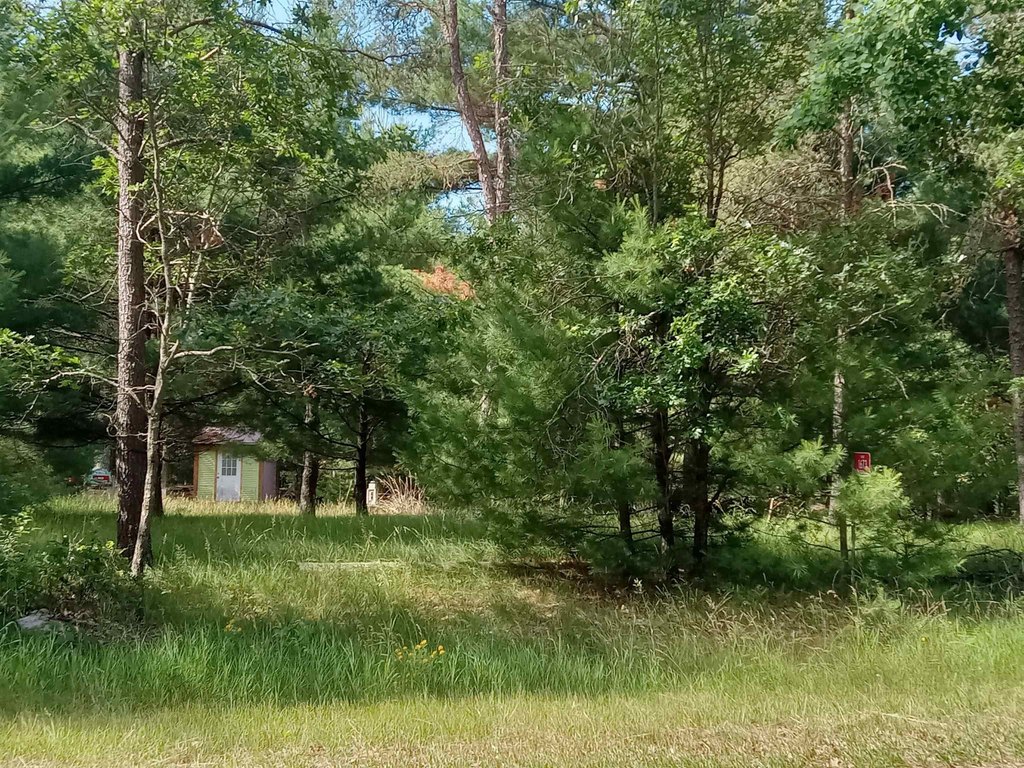 Picture 2