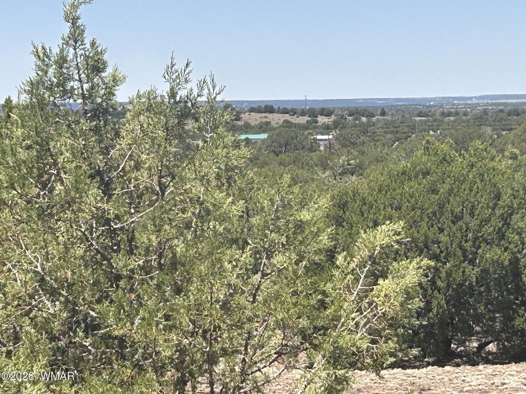 Picture 19