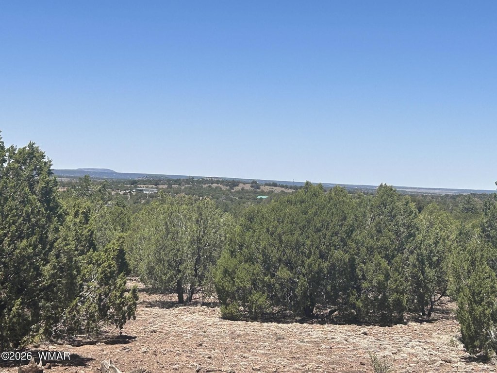 Picture 20
