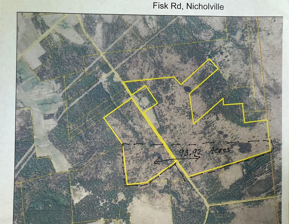 Picture 4