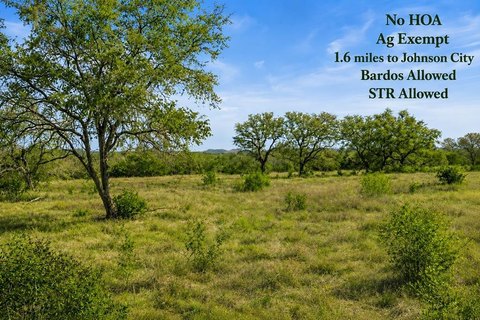 Hill Country Home Site with Oaks