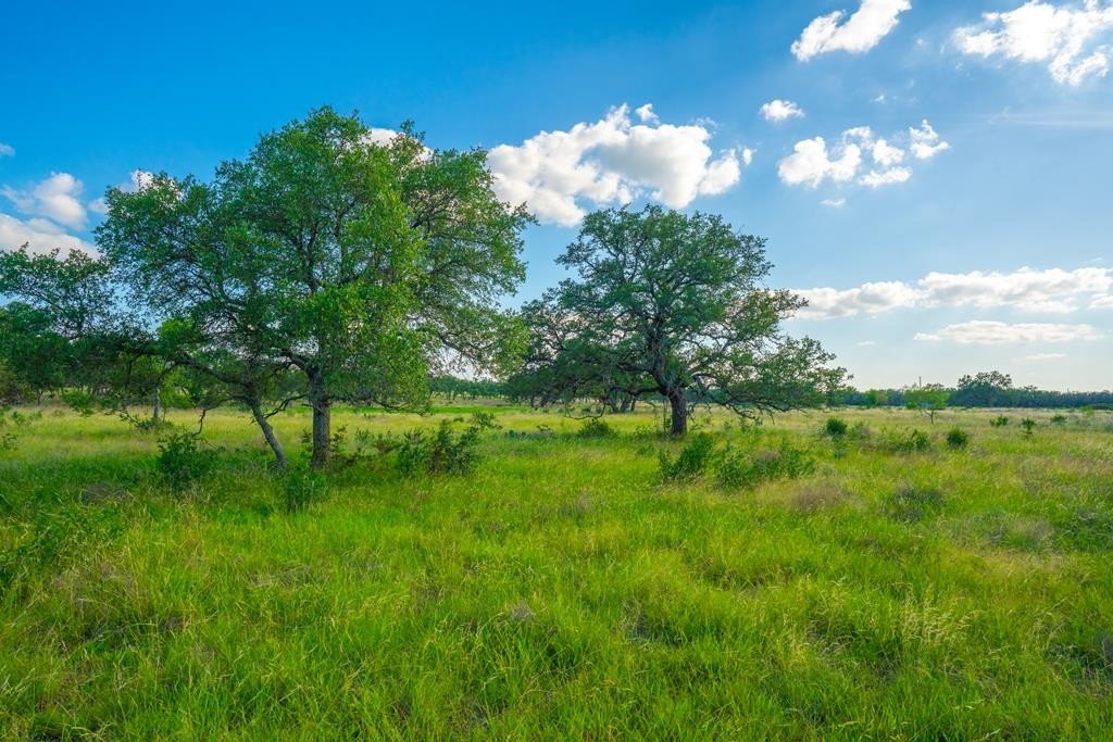 6 Acres Near Johnson City