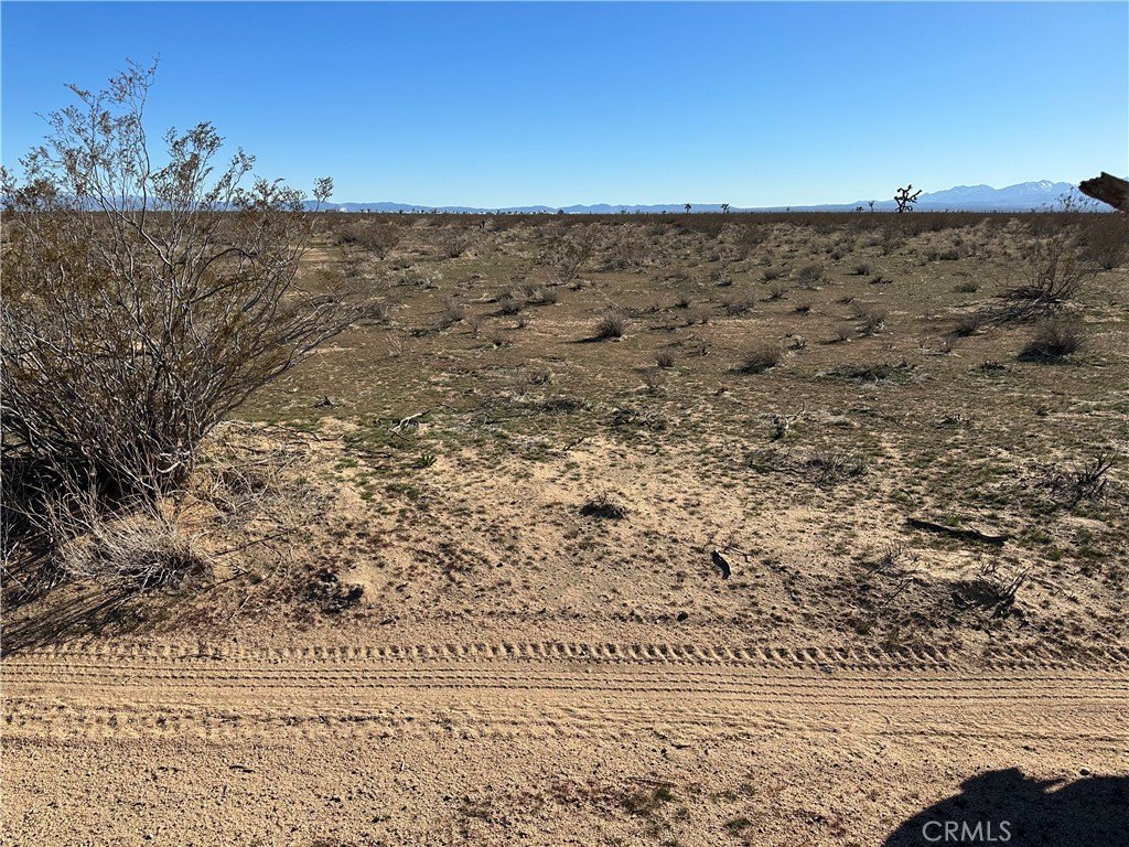 9.33 Acre Level Lot