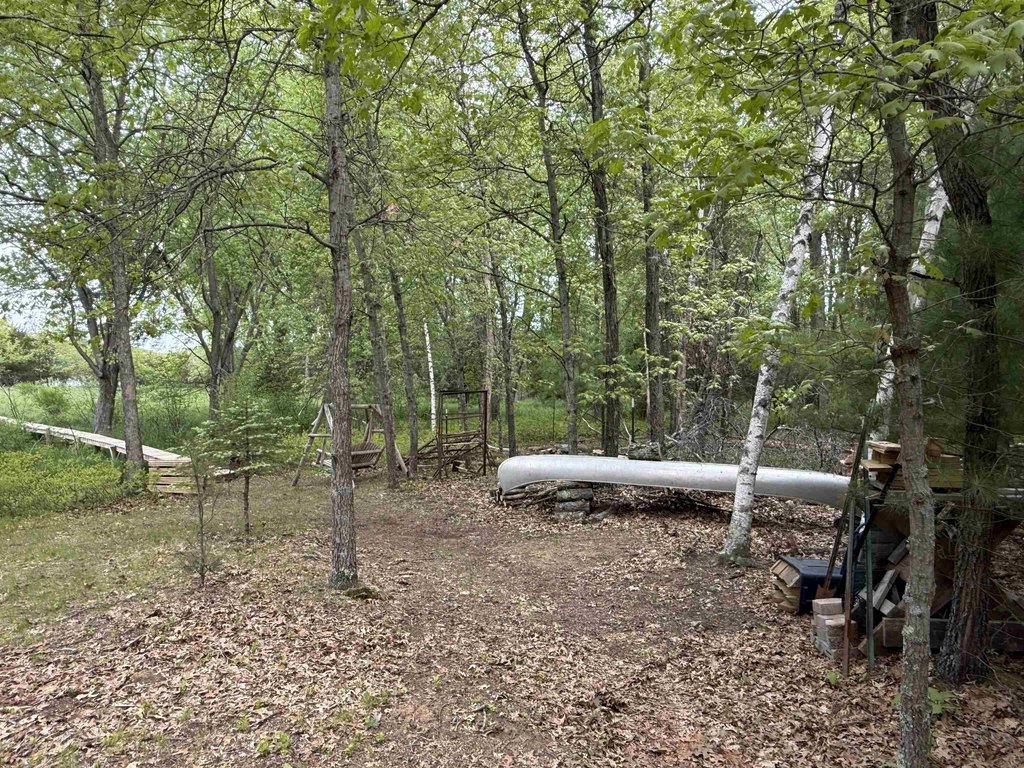 Picture 16