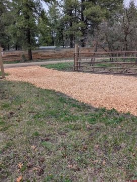 Wooded Lot Ready for Development