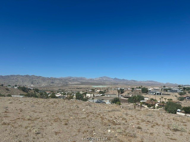 Picture 2