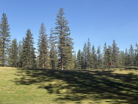 Golf Course Lots in Weed