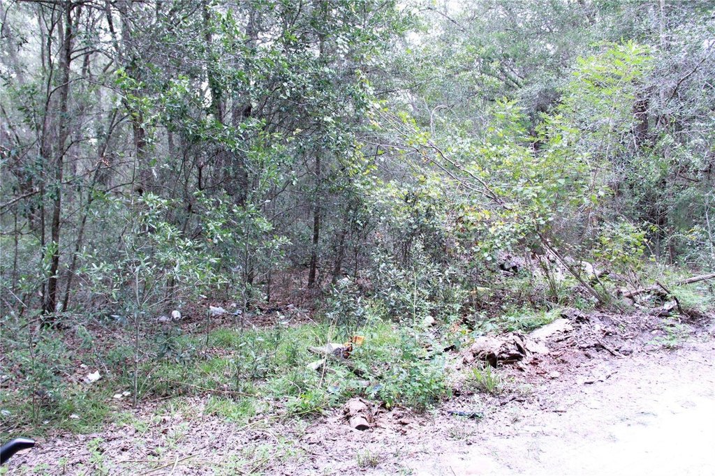 Picture 5