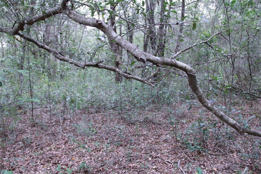 Picture 3