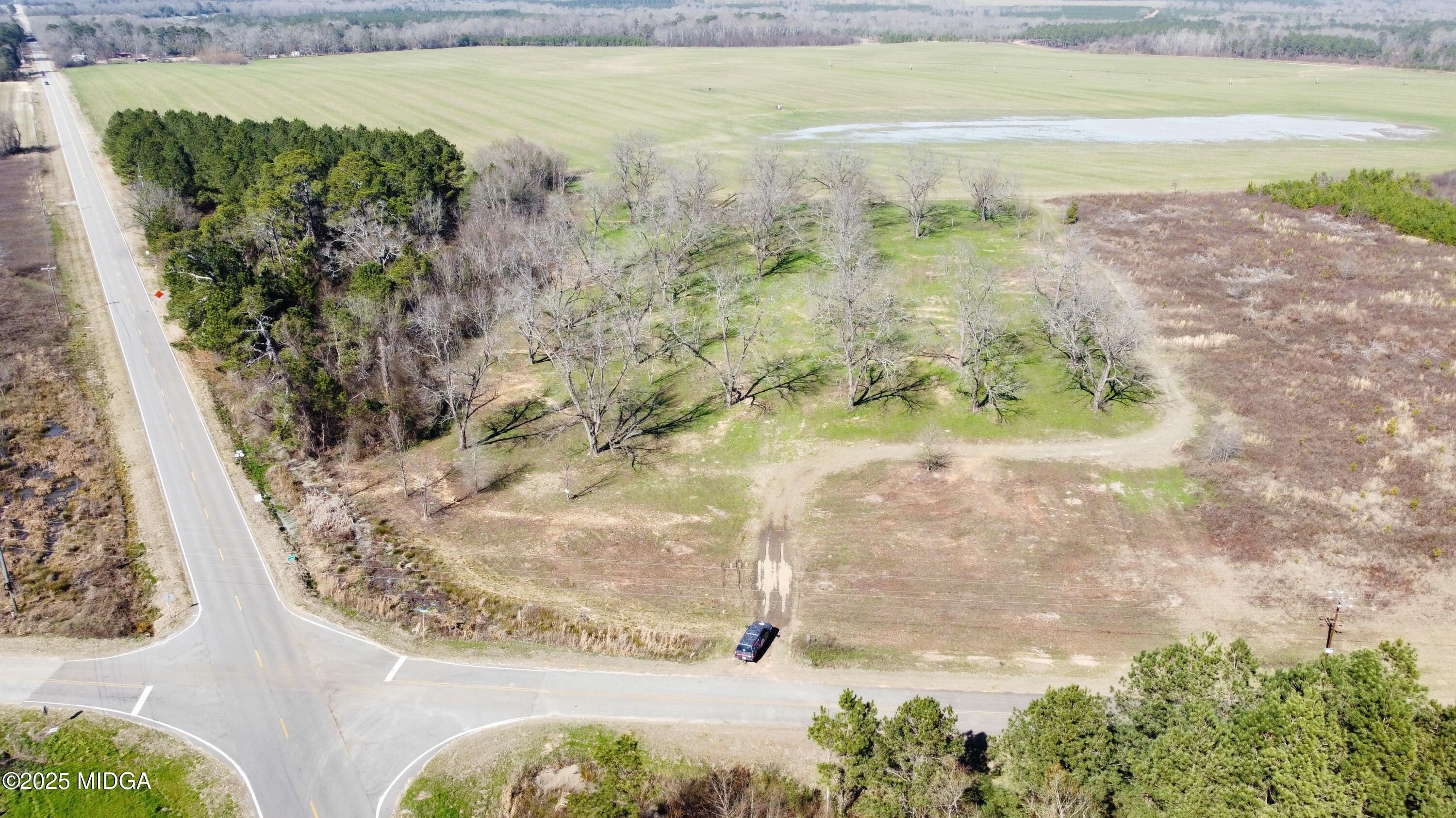 Elko, GA Land with Pecans