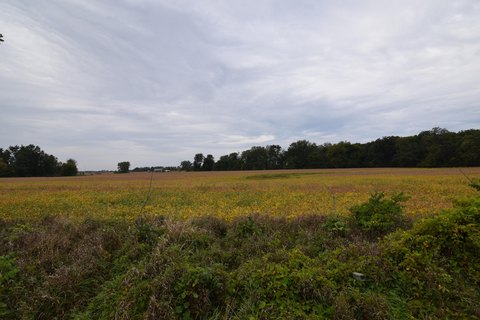 40.63 Acres Land in Bronson