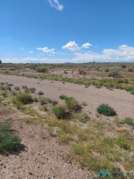 Land, Deming, NM