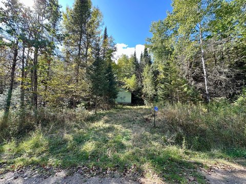 Buildable Wooded Land Near Trails