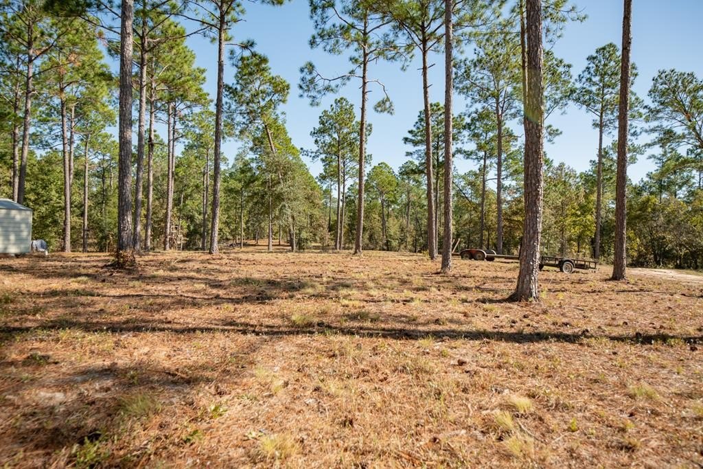 Lake Seminole Waterfront Residential Land