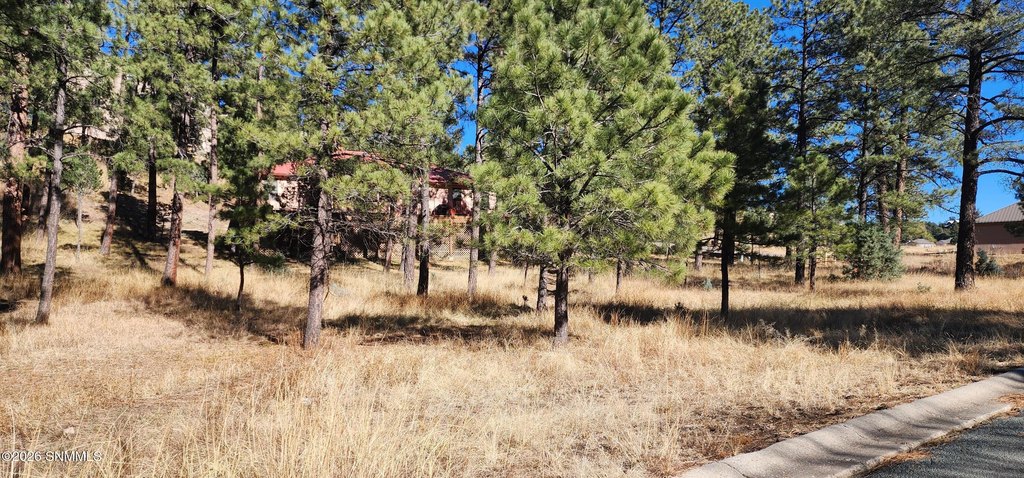 Picture 6